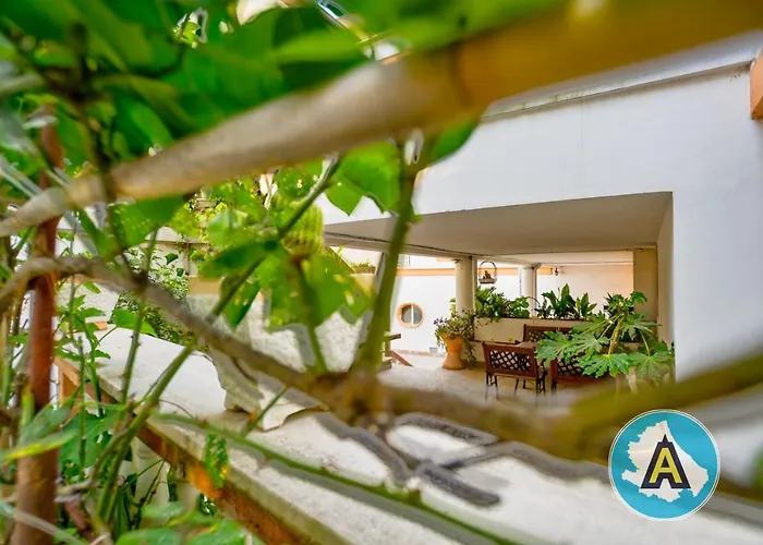 Di Catia A Due Passi Dal Mare Silvi Paese