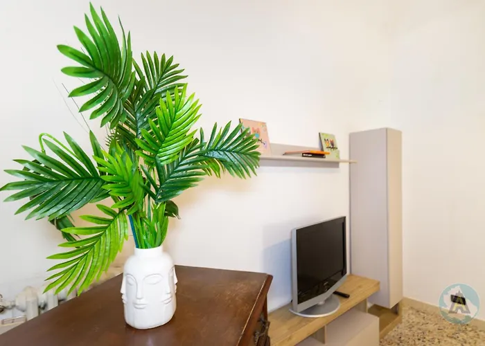 Di Catia A Due Passi Dal Mare Silvi Paese